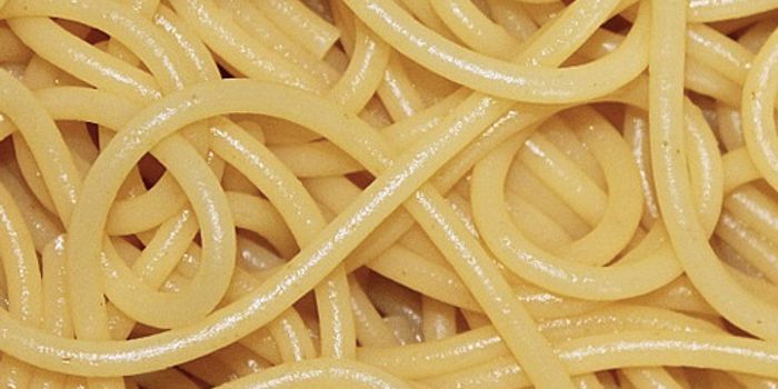 Cracking the Mystery of Intrinsically Disordered Proteins