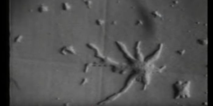 The Benefits of Being a Loner