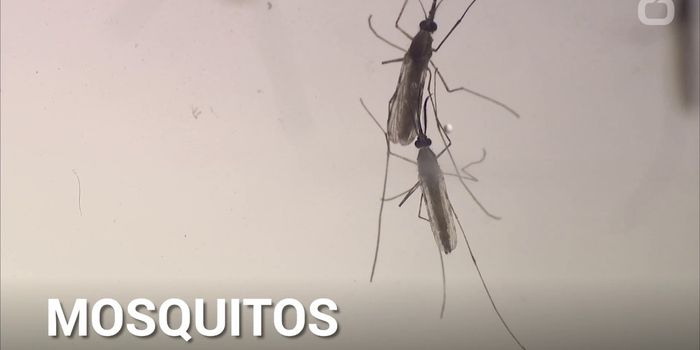 The Biggest Health Risks You Face During the Summer