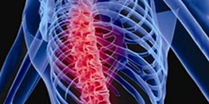 Astronauts Lose Considerable Amounts of Spinal Muscle in Space