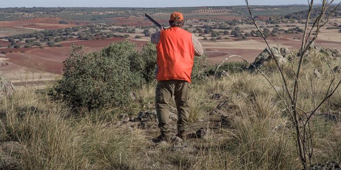 An Introduction to Conservation Through Hunting
