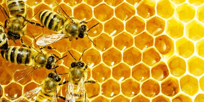 The danger of insecticides - and their lobbyists