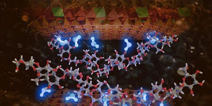 Hydrogen Bonds Hold the Key to Moisture-Rich Soils