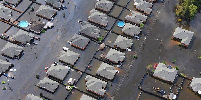 Study Triples Estimate of Sea Level Rise Vulnerability