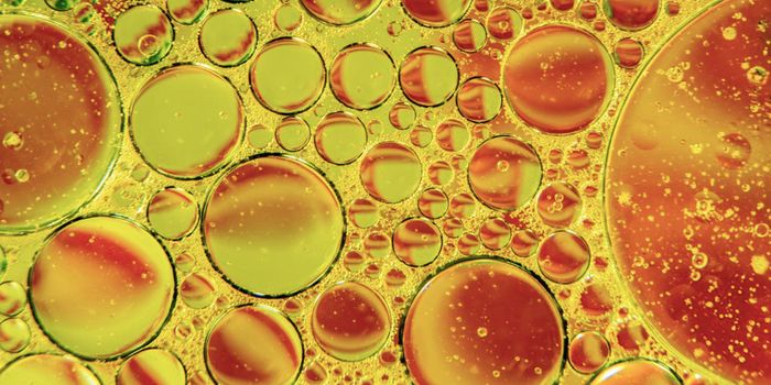 Surprising Roles for Hormones in Wound Repair