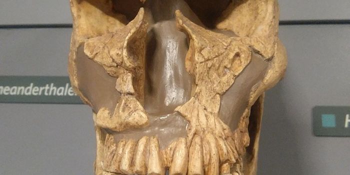 Ancient Climate Conditions Influenced Where and How Early Humans Lived and Reproduced