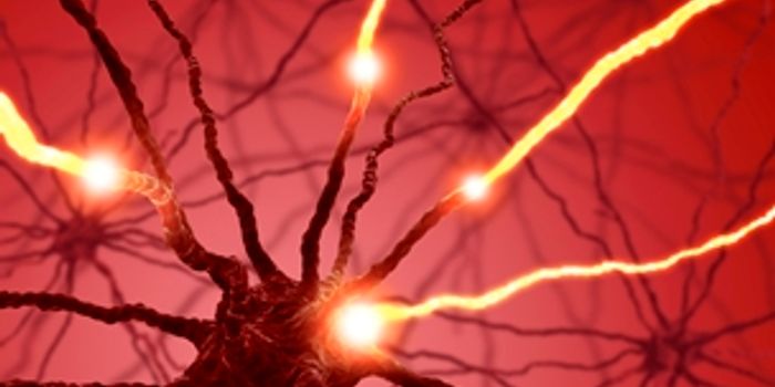 Penn Researchers Show How Human Learning Is Altered by Electrical Stimulation of Dopamine Neurons