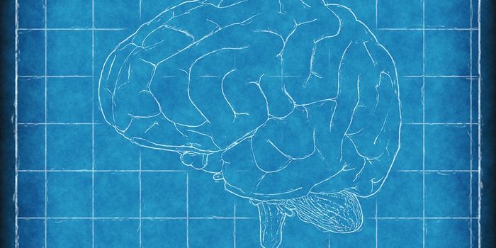 What Happens To Your Brain After Cardiac Arrest?