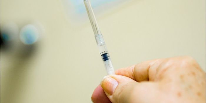 Yellow Fever is Spreading in Brazil