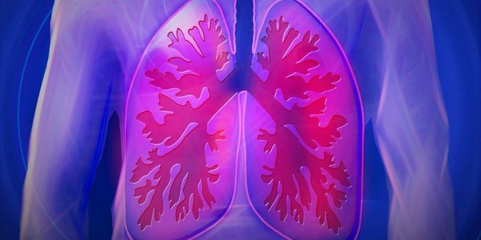 New Drug Reduces Swelling in Asthma and COPD