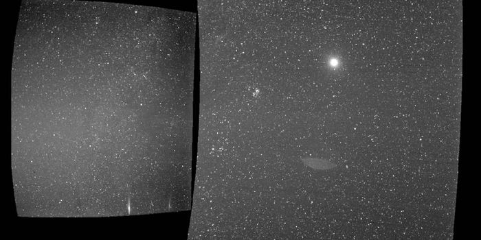 NASA's Parker Solar Probe Snaps a Picture of Earth
