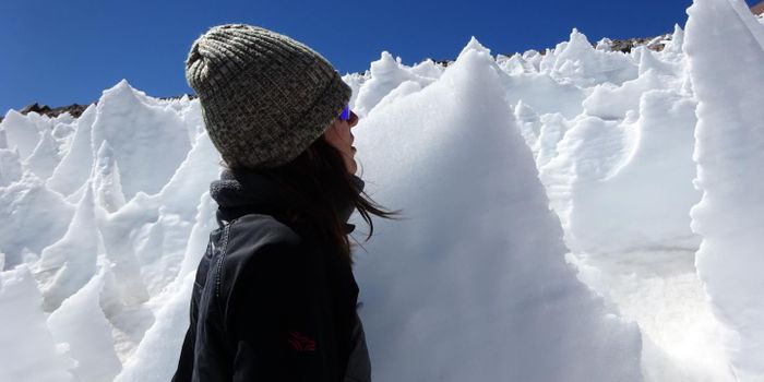 Snow-Loving Algae Thrive at the Heights of the Andes
