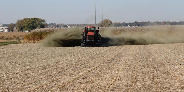 Enhanced Weathering with Basalt Rock: A Win-Win for Carbon Reduction and Agriculture