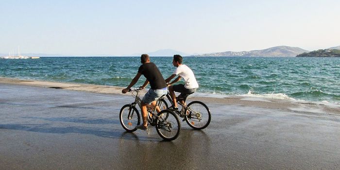 Change in Guidelines Suggested for Cardiomyopathy Patients