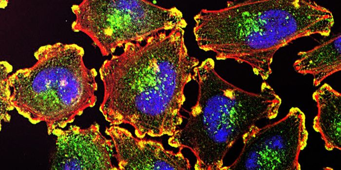 Tool can Accurately Detect Single Nucleotide Variations in Individual Cells