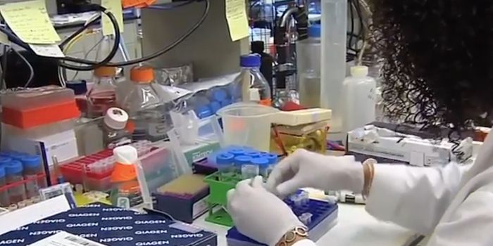 Certain Foods Encourage a Gut Microbe, and Colon Cancer