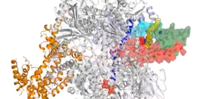 Revealing the Mechanism Behind the 'Magic Spot'