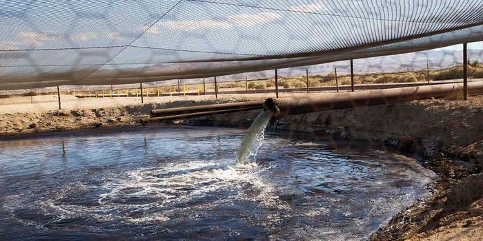 Will the EPA let oil companies dump wastewater into our rivers?