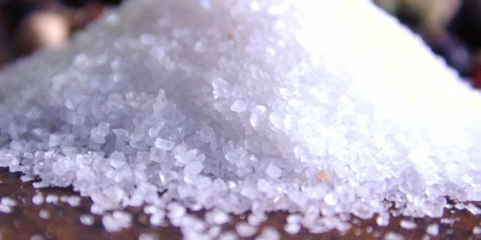 How Is Sugar Extracted?