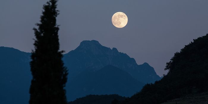 Winter solstice, full moon, and a meteor shower all in 24 hours!