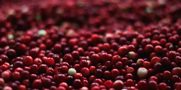 Cranberry juice for UTIs: fact or fiction?