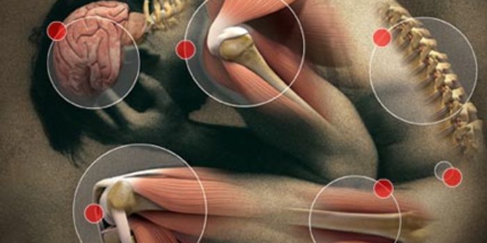 The Impact of Chronic Pain On Our Immune System