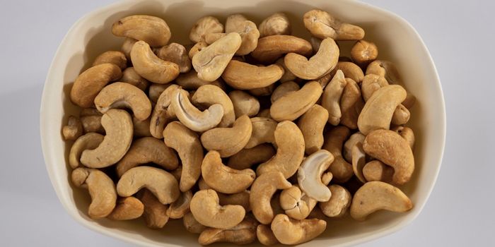 Can Dietary Zinc Help Stop the Spread of Antibiotic Resistance?