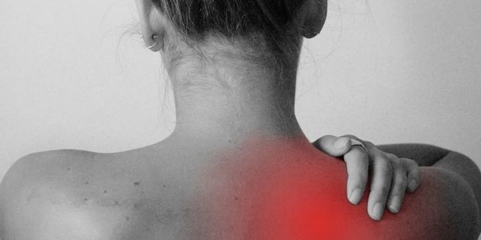 New Findings May Lead to Fibromyalgia Diagnostics & Treatments