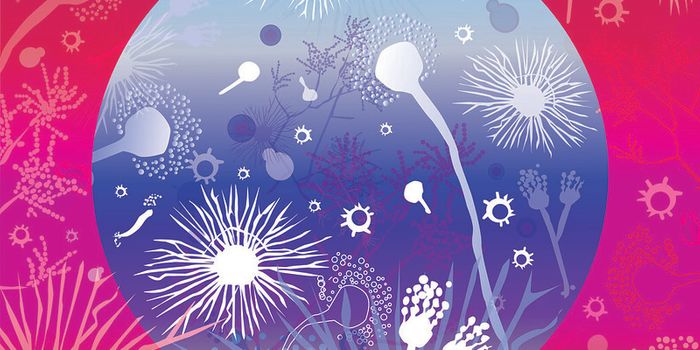 Experts are Concerned about Rising Drug-Resistant Fungal Infections