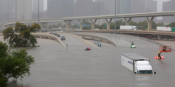 New research reveals what caused Harvey
