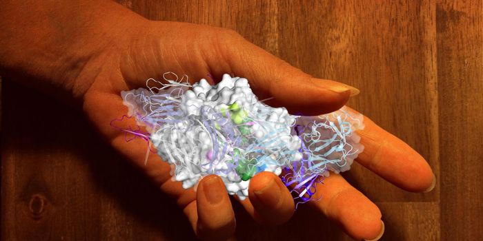 Insight Into the Molecular Basis of Rheumatoid Arthritis