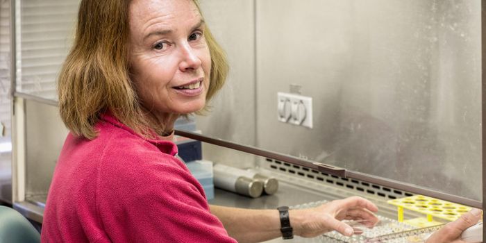 Natural Compound can Reduce Age-related Declines