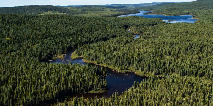 What's left after the fire?