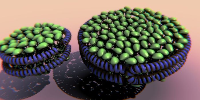 Nanodiscs Carry and Deliver Customized Cancer Treatments