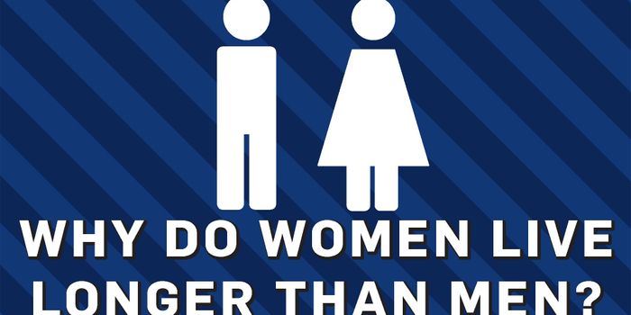 Why Women Win at Life Expectancy