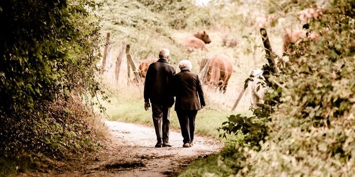 Postponing Retirement May Protect Cognitive Function