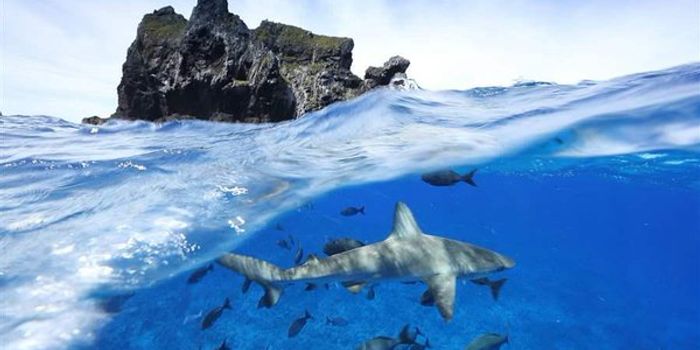 The biggest marine reserve known to earth!