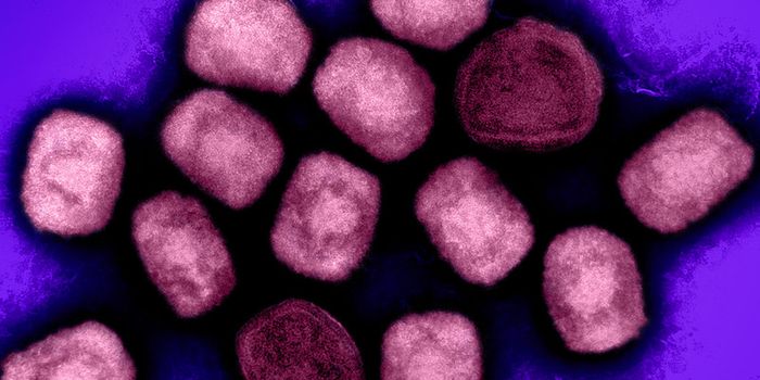 As Cases Surge, First Mpox Diagnostic Test is Approved by WHO