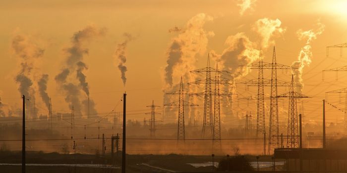 Carbon Dioxide Levels are Rising at the Fastest Rate in 50,000 Years
