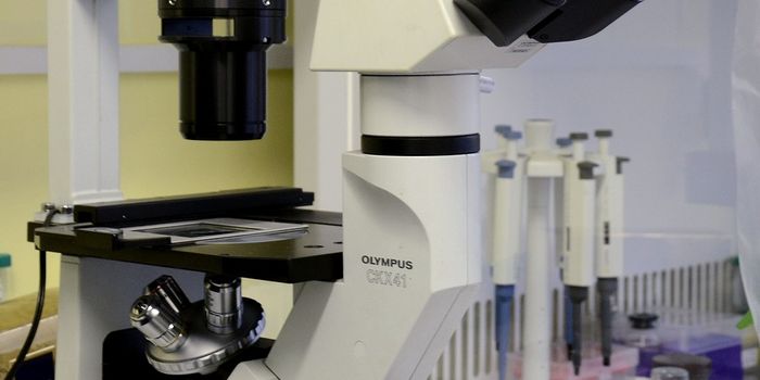 Engineered Proteins Elicit Robust Antitumor Response