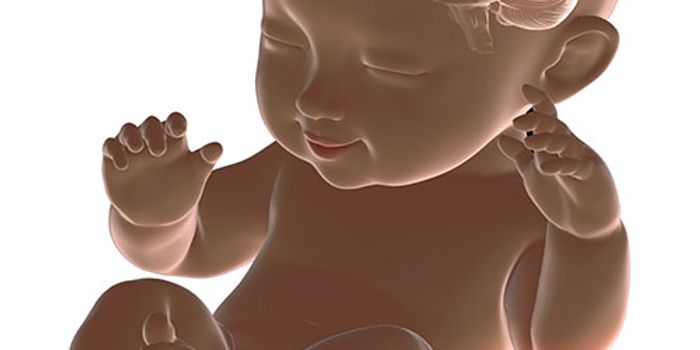 Nano-encapsulation Technology Enhances Early Brain Development