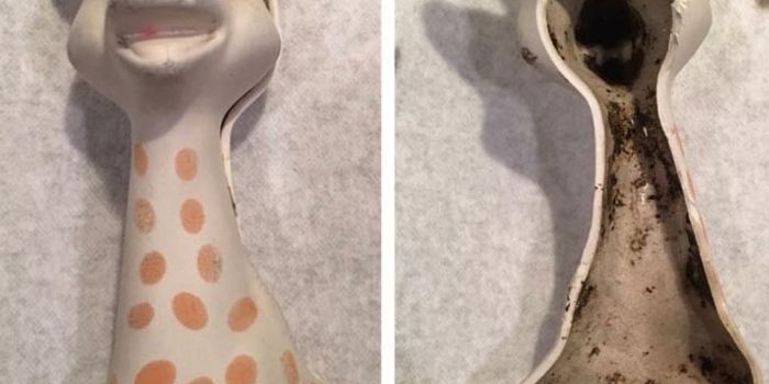 Moldy Sophie? Keep Calm and Clean On, Say Experts