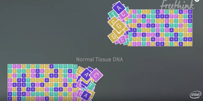 Using Genomics to Fight Cancer