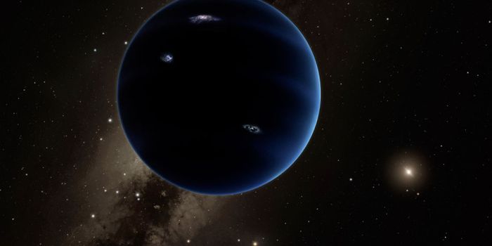 Has New Evidence for Planet Nine Surfaced?