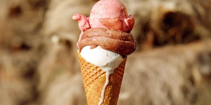 Good and Bad Fats are Processed Differently