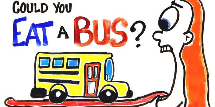 Can Humans Eat Anything They Want to?