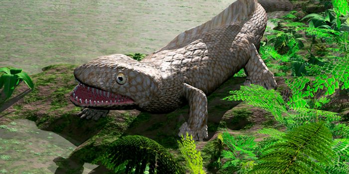 Fossils Found in Scotland Tell a Story of the First Four-Legged Animals to Live There