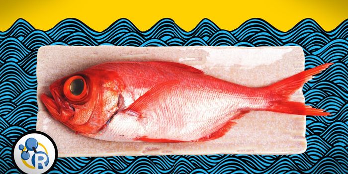 De-funking Fish Stink