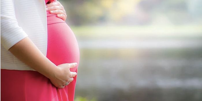 Relieving Preeclampsia With an Antioxidant Found in Mushrooms