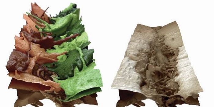 The Science Behind Zipping of the Skin (ie, Wound Healing)